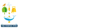 University of Glassgow