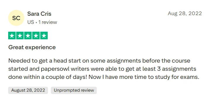 Trustpilot review saying PapersOwl completed an assignment quickly and professionally