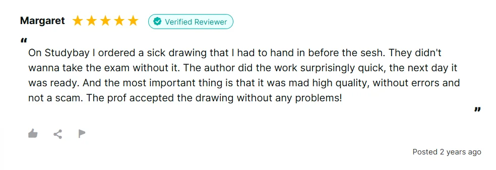 studybay student review 4